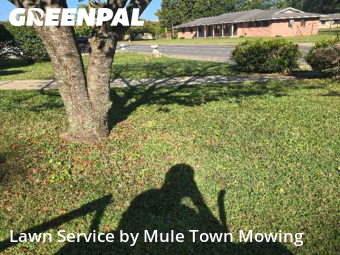 Yard Mowing nearby Franklin, TN, 