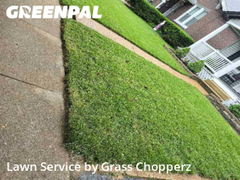 Lawn Care nearby Maplewood, MO, 