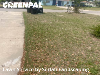 Lawn Mow nearby Orlando, FL, 