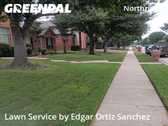 Lawn Mow nearby Frisco, TX, 