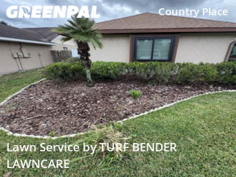 Lawn Mowing Servicein Tampa,33624,Lawn Cutting by TURF BENDER LAWNCARE, work completed in Dec , 2025