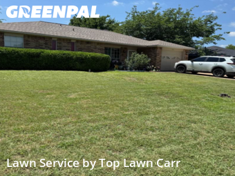 Weed Trimming in Glenn Heights, 75154, Yard Upkeep by Top Lawn Carr, work completed in Aug , 2025