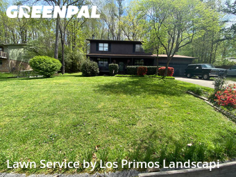 Yard Cutting nearby Ringgold, TN, 