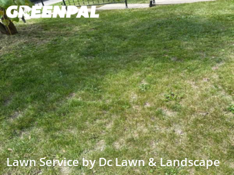 Grass Cut nearby Columbia City, IN, 