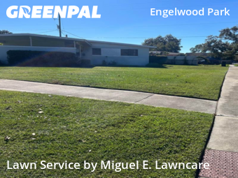 Local Lawn And Landscape Maintenance Services Near Me In Orlando,32807,Landscape Design by Miguel E. Lawncare, work completed in Nov , 2025