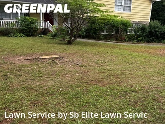 Grass Cut nearby Lithonia, GA, 