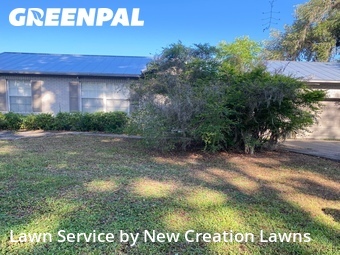 Lawn Mowing nearby Brandon, FL, 