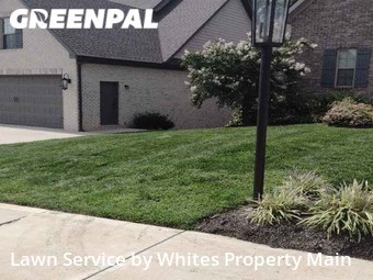 Lawn Cutting nearby Tennessee, TN, 