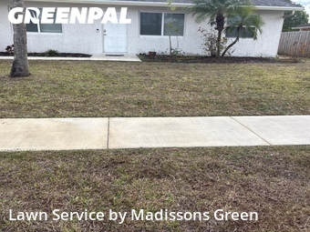 Lawn mowed in Royal Palm Beach, 33411