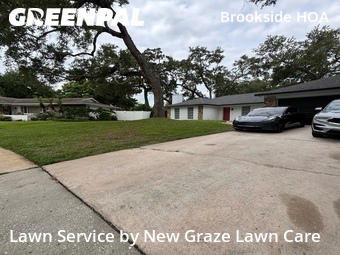 Lawn Mow nearby Clearwater, FL, 