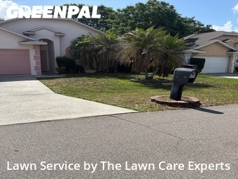 Lawn mowed in Winter Haven, 33884