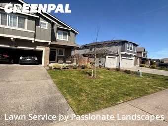 Lawn mowed in South Hill, 98374