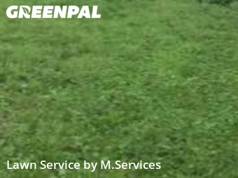 Lawn Service nearby Greensboro, NC, 