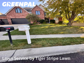 Lawn Cut nearby Papillion, NE, 