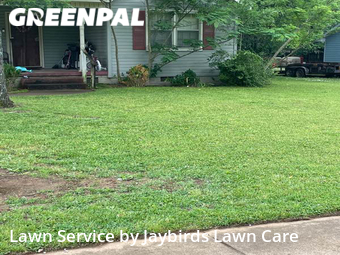 Lawn Care nearby Decatur, AL, 