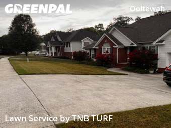 Yard Cutting nearby Ooltewah, TN, 