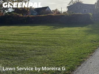 Lawn Management in Towson, 21286, Front Yard Mowing by Moreira G, work completed in Nov , 2025
