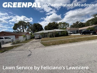 Lawn Maintenance nearby Tampa, FL, 