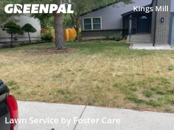 Lawn Mowing Service nearby Broomfield, CO, 