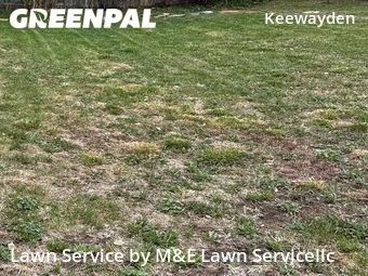 Lawn Care nearby Boulder, CO, 