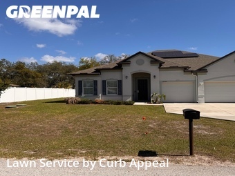 Lawn Cut nearby Spring Hill, FL, 