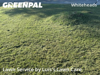 Lawn Service nearby Pensacola, FL, 
