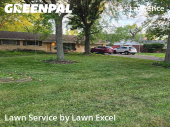 Grass Cutin Lawrence,46226,Yard Mowing by Lawn Excel, work completed in Dec , 2025