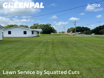 Grass Cut nearby Duson, LA, 