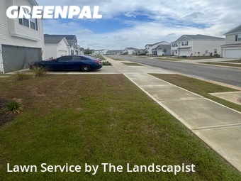 Grass Cut nearby Moncks Corner, SC, 