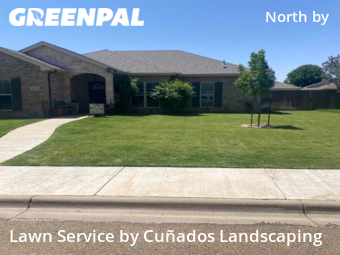 Yard Cutting nearby Lubbock, TX, 