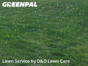 Lawn Service nearby Spokane, WA, 