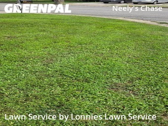Lawn Cut nearby Madison, TN, 