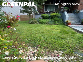 Lawn Care nearby Arlington, VA, 