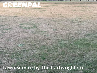 Grass Cutting nearby Sanford, NC, 