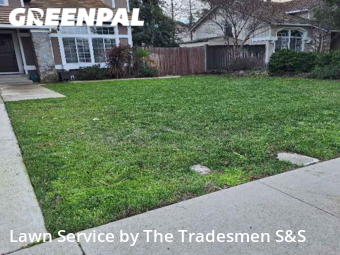 Lawn Service nearby Brentwood, CA, 