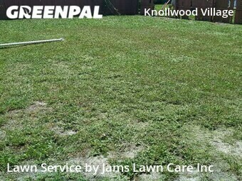 Yard Mowing nearby Holiday, FL, 