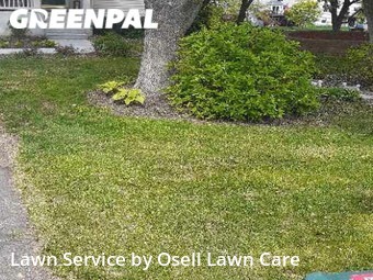 Lawn Cutting nearby Minneapolis, MN, 