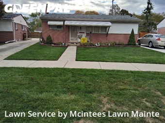 Grass Cut nearby Southgate, MI, 