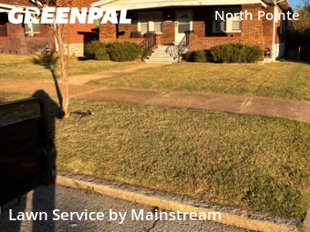 Yard Cutting nearby St. Louis, MO, 