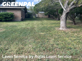 Lawn Care Service nearby San Juan, TX, 