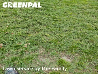 Yard Cutting nearby Orlando, FL, 