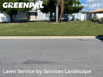 Yard Cutting nearby Buenaventura Lakes, FL, 