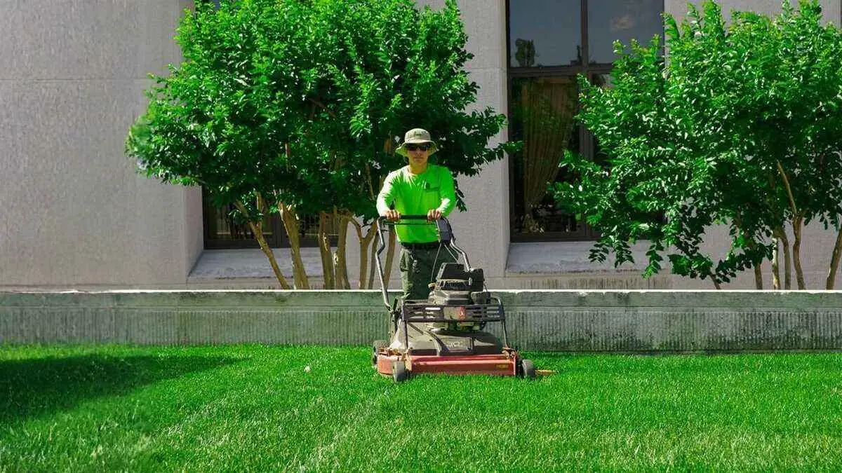 Are lawn care marketplace platforms cheaper than calling companies directly? By Greenpal