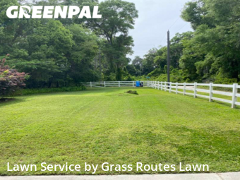 Lawn Cutting nearby Belleview, FL, 