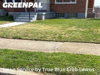 Grass Cut nearby Dundalk, MD, 