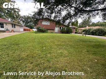 Lawn Servicein Elmhurst,60126,Lawn Care Service by Alejos Brothers, work completed in Nov , 2025