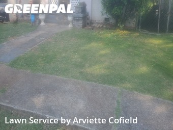 Lawn Cut nearby Birmingham, AL, 