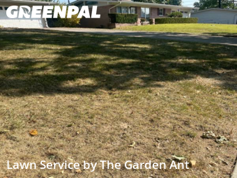 Grass Cut nearby St. Louis, MO, 