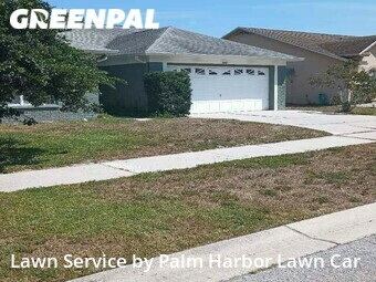 Lawn Cut nearby Palm Harbor, FL, 