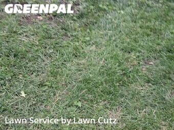 Lawn Cutting nearby Lincoln, NE, 